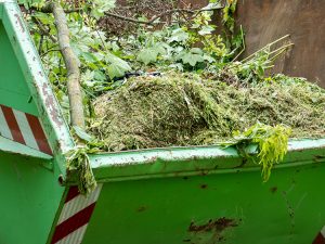 Grünabfälle im Container