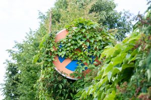 Nahaufnahme eines nahezu Verkehrszeichens hinter Büschen